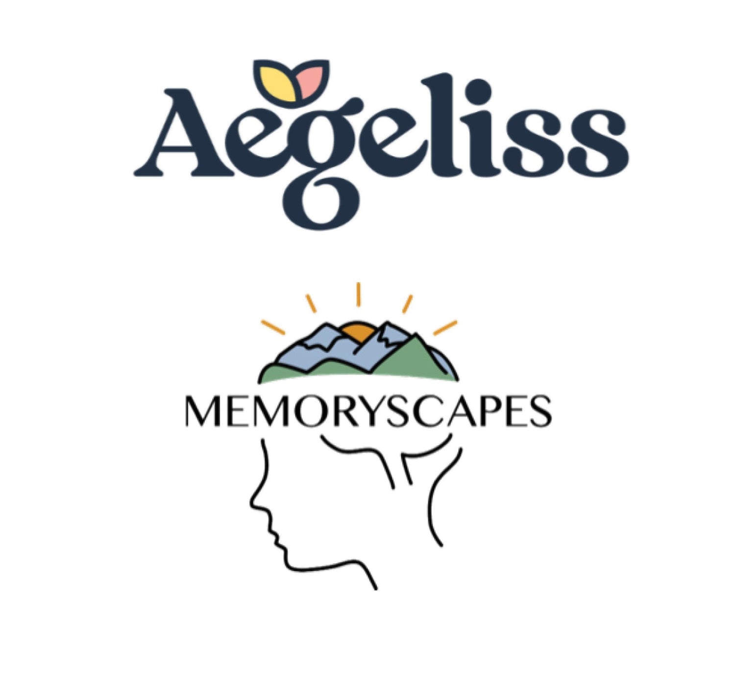 Trusted Partner Visual Aids